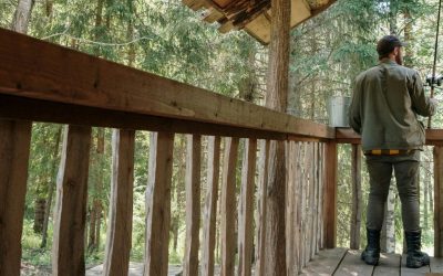 Le Charme Rustique des Chalets en Bois : Inspirations et Idées de Décoration